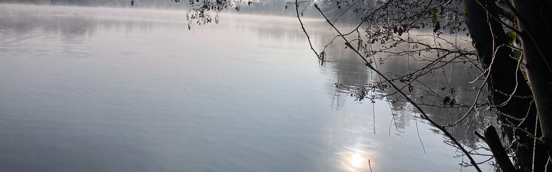 Dekoratives Bild eines Gewässers im Morgennebel